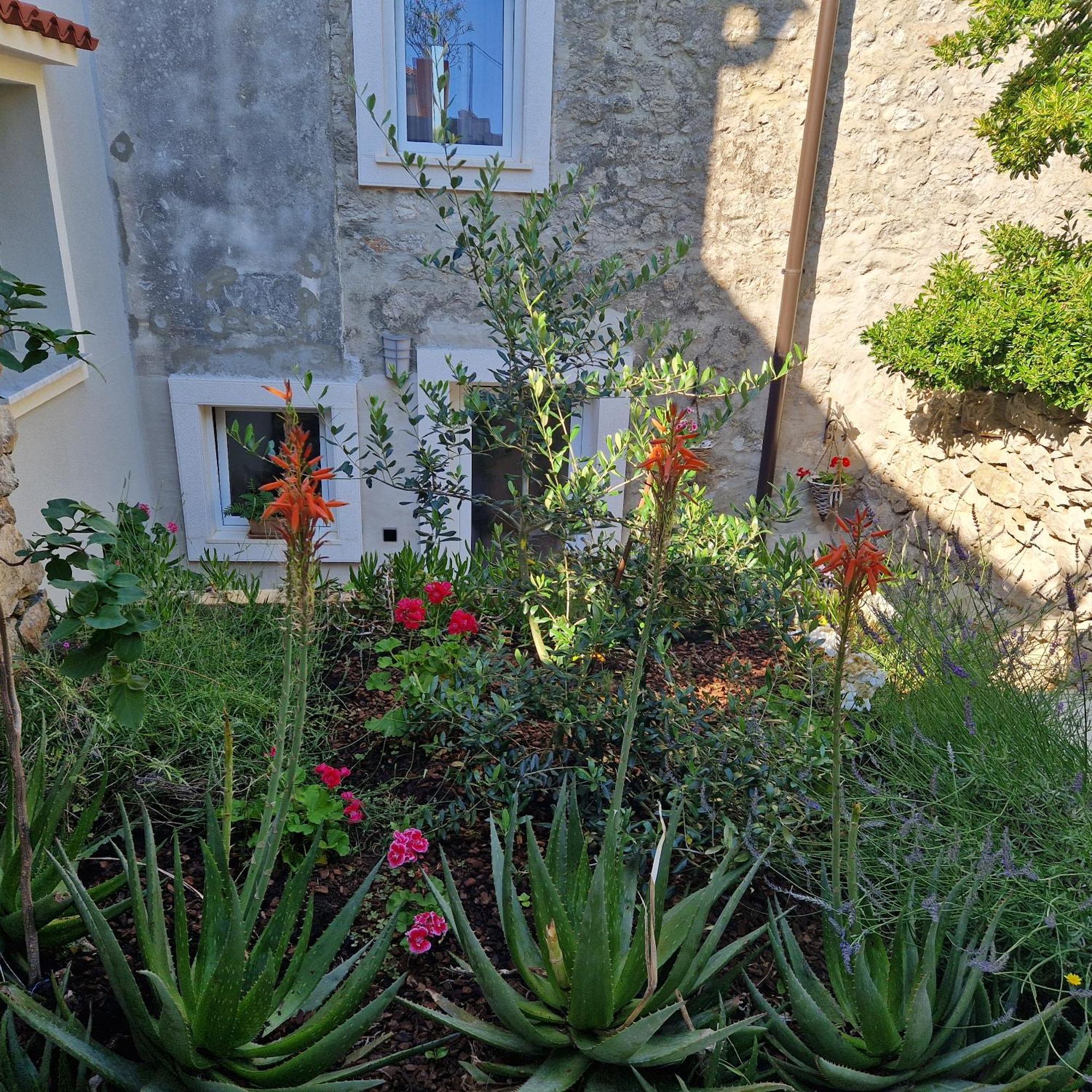 Castel Apartment Mali Lošinj Екстериор снимка